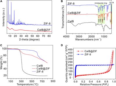 Facile Synthesis of Enzyme-Embedded Metal–Organic Frameworks for Size-Selective Biocatalysis in Organic Solvent